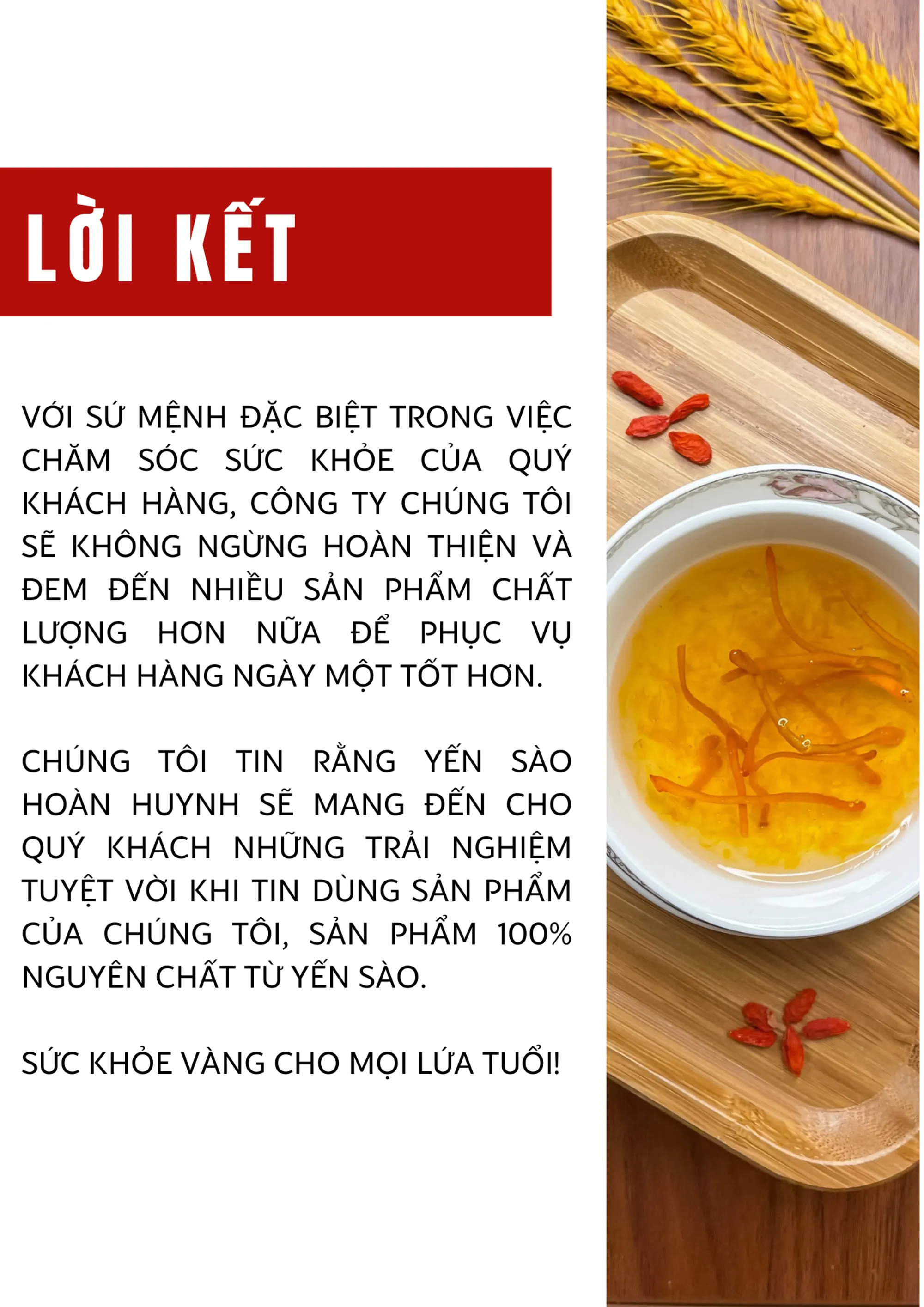 company profile image 13