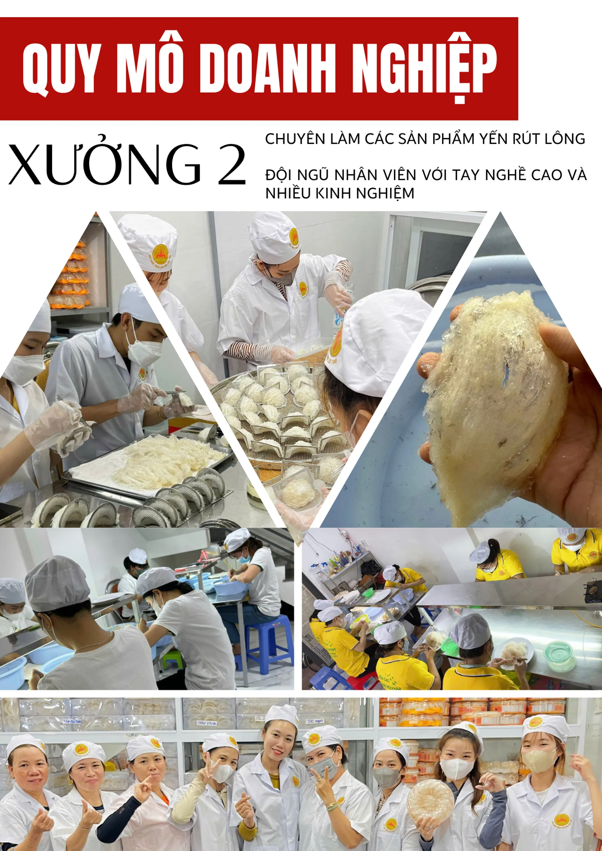 company profile image 4