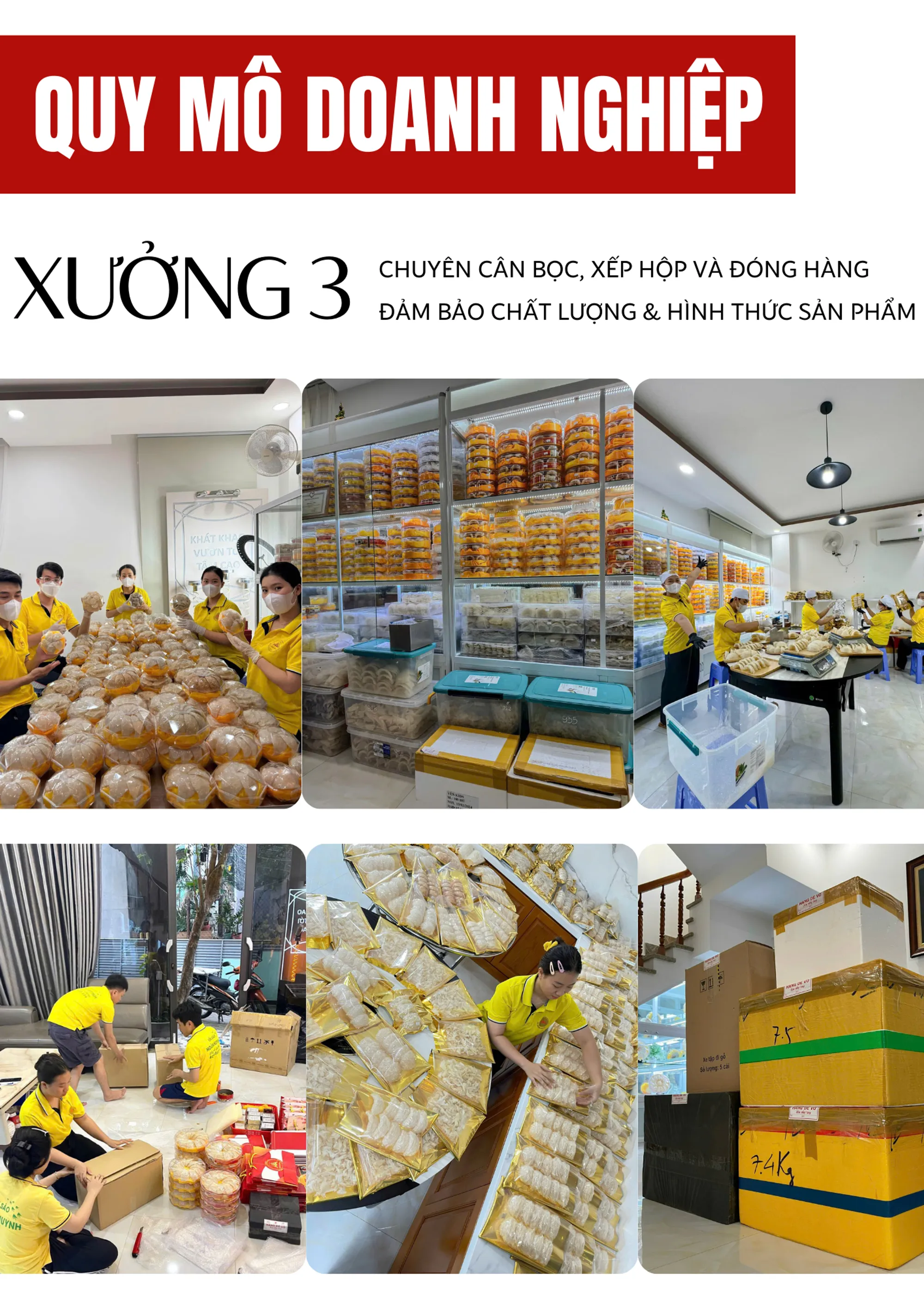 company profile image 5