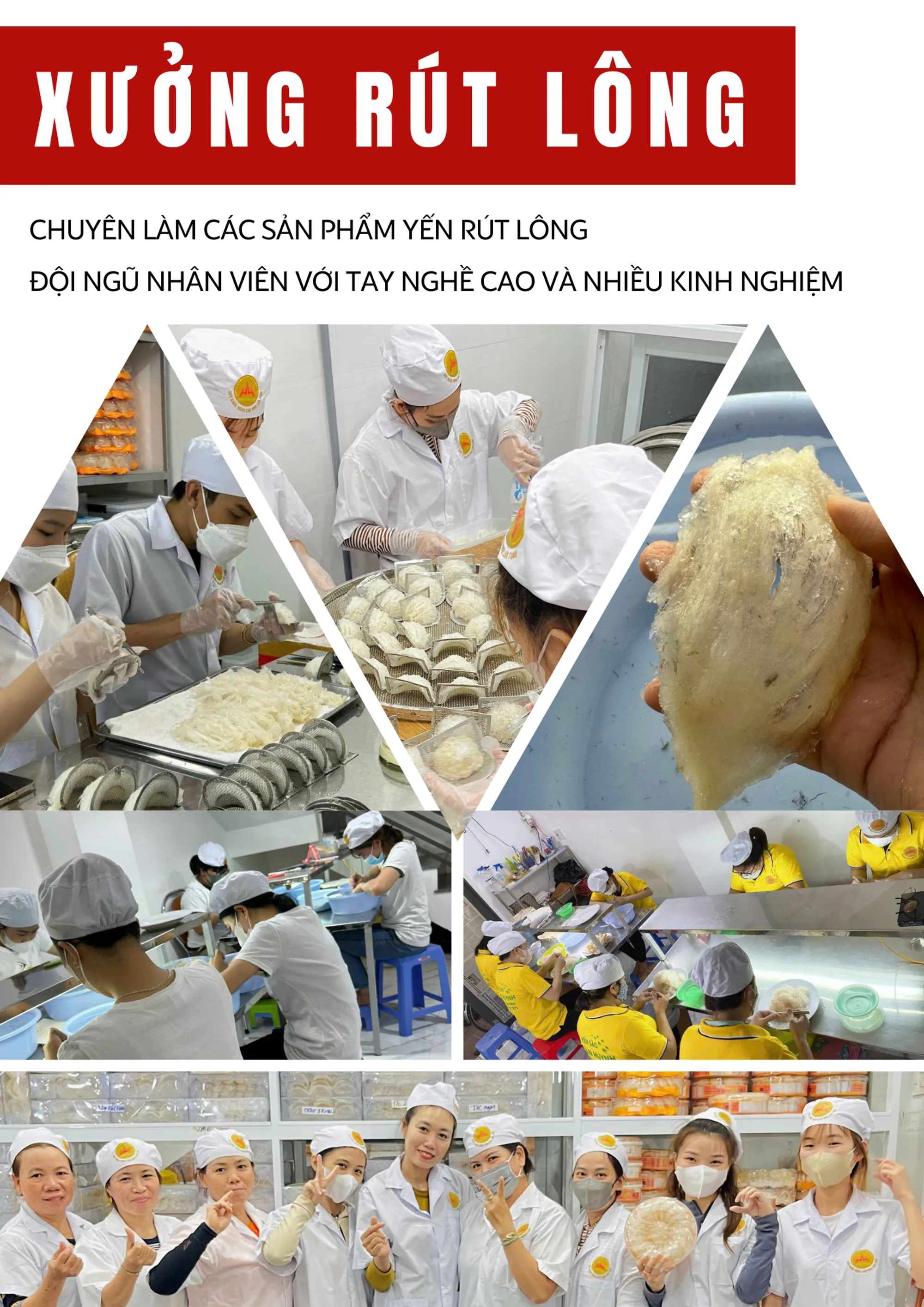 Xưởng Yến rút lông