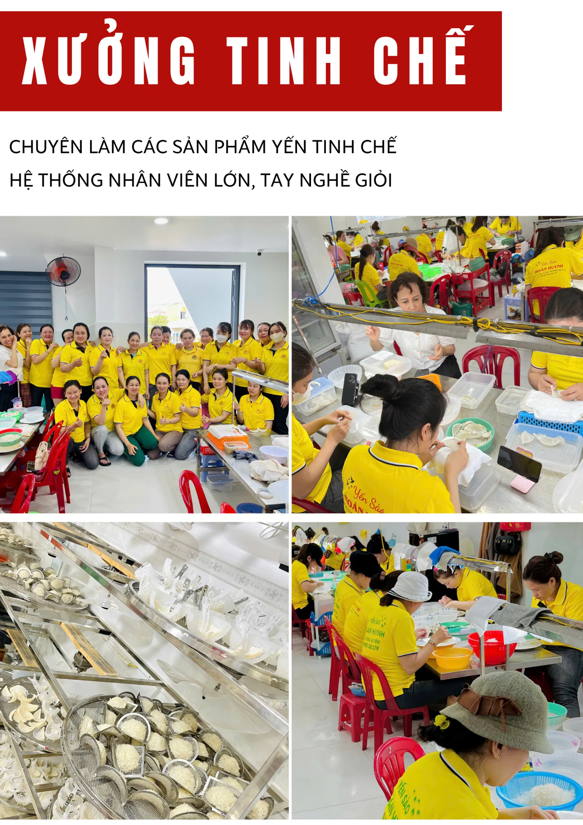 Xưởng Yến Tinh Chế